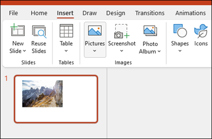 Insert Images in PowerPoint